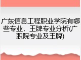 广东信息工程职业学院有哪些专业，王牌专业分析(广职院专业及王牌)