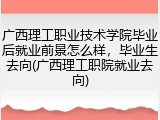 广西理工职业技术学院毕业后就业前景怎么样，毕业生去向(广西理工职院就业去向)