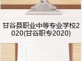 甘谷县职业中等专业学校2020(甘谷职专2020)