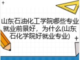 山东石油化工学院哪些专业就业前景好，为什么(山东石化学院好就业专业)