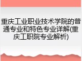 重庆工业职业技术学院的普通专业和特色专业详解(重庆工职院专业解析)