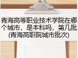 青海高等职业技术学院在哪个城市，是本科吗，第几批(青海高职院城市批次)