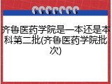 齐鲁医药学院是一本还是本科第二批(齐鲁医药学院批次)