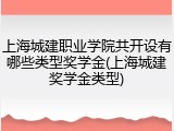 上海城建职业学院共开设有哪些类型奖学金(上海城建奖学金类型)