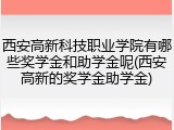 西安高新科技职业学院有哪些奖学金和助学金呢(西安高新的奖学金助学金)