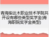 青海柴达木职业技术学院共开设有哪些类型奖学金(青海职院奖学金类型)