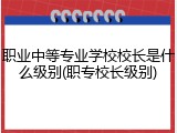 职业中等专业学校校长是什么级别(职专校长级别)