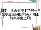 湖南工业职业技术学院一年奖学金最多能拿多少(湘工院奖学金上限)