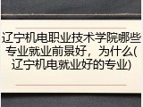 辽宁机电职业技术学院哪些专业就业前景好，为什么(辽宁机电就业好的专业)