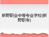 新野职业中等专业学校(新野职专)
