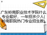 广东岭南职业技术学院什么专业最好，一年招多少人(岭南职院热门专业招生数)