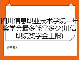四川信息职业技术学院一年奖学金最多能拿多少(川信职院奖学金上限)