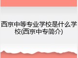 西京中等专业学校是什么学校(西京中专简介)