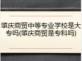 肇庆商贸中等专业学校是大专吗(肇庆商贸是专科吗)