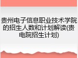 贵州电子信息职业技术学院的招生人数和计划解读(贵电院招生计划)