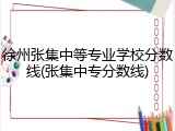 徐州张集中等专业学校分数线(张集中专分数线)