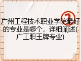 广州工程技术职业学院最好的专业是哪个，详细阐述(广工职王牌专业)