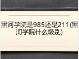 黑河学院是985还是211(黑河学院什么级别)