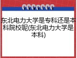 东北电力大学是专科还是本科院校呢(东北电力大学是本科)