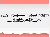 武汉学院是一本还是本科第二批(武汉学院二本)