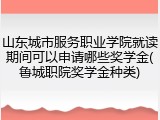 山东城市服务职业学院就读期间可以申请哪些奖学金(鲁城职院奖学金种类)