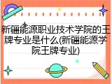 新疆能源职业技术学院的王牌专业是什么(新疆能源学院王牌专业)
