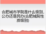 合肥城市学院是什么级别，公办还是民办(合肥城院性质级别)