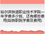 哈尔滨铁道职业技术学院一年学费多少钱，还有哪些费用(哈铁职院学费及费用)
