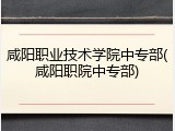 咸阳职业技术学院中专部(咸阳职院中专部)