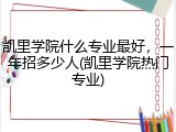 凯里学院什么专业最好，一年招多少人(凯里学院热门专业)