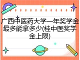 广西中医药大学一年奖学金最多能拿多少(桂中医奖学金上限)
