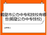 鹤壁市公办中专和技校有哪些(鹤壁公办中专技校)