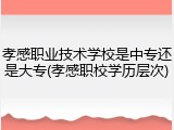 孝感职业技术学校是中专还是大专(孝感职校学历层次)