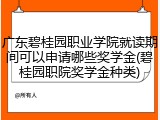 广东碧桂园职业学院就读期间可以申请哪些奖学金(碧桂园职院奖学金种类)