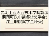 昆明工业职业技术学院就读期间可以申请哪些奖学金(昆工职院奖学金种类)