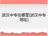 武汉中专在哪里(武汉中专地址)