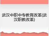 武汉中职中专教育改革(武汉职教改革)