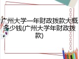 广州大学一年财政拨款大概多少钱(广州大学年财政拨款)