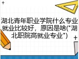 湖北青年职业学院什么专业就业比较好，原因是啥("湖北职院高就业专业")