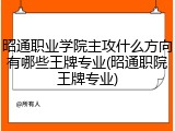 昭通职业学院主攻什么方向有哪些王牌专业(昭通职院王牌专业)
