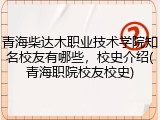 青海柴达木职业技术学院知名校友有哪些，校史介绍(青海职院校友校史)