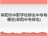 阜阳市中职学校排名中专有哪些(阜阳中专排名)