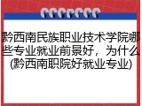 黔西南民族职业技术学院哪些专业就业前景好，为什么(黔西南职院好就业专业)