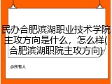 民办合肥滨湖职业技术学院主攻方向是什么，怎么样(合肥滨湖职院主攻方向)