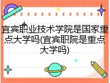 宜宾职业技术学院是国家重点大学吗(宜宾职院是重点大学吗)