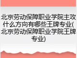 北京劳动保障职业学院主攻什么方向有哪些王牌专业(北京劳动保障职业学院王牌专业)