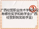广西经贸职业技术学院开设有哪些奖学和助学金(广西经贸职院奖助学金)