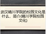 武汉晴川学院的校园文化是什么，简介(晴川学院校园文化)