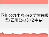四川公办中专3+2学校有哪些(四川公办3+2中专)