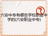 六安中专有哪些学校职业中学的(六安职业中专)